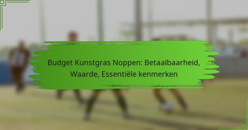 Budget Kunstgras Noppen: Betaalbaarheid, Waarde, Essentiële kenmerken