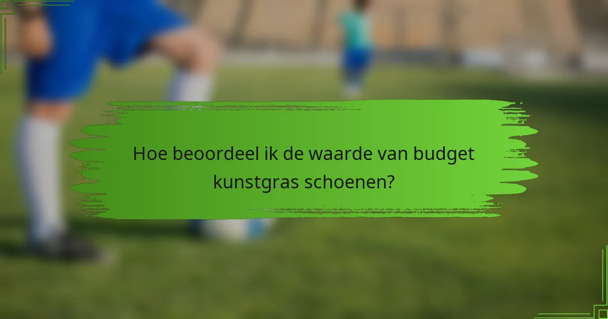 Hoe beoordeel ik de waarde van budget kunstgras schoenen?
