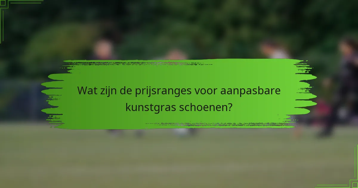 Wat zijn de prijsranges voor aanpasbare kunstgras schoenen?