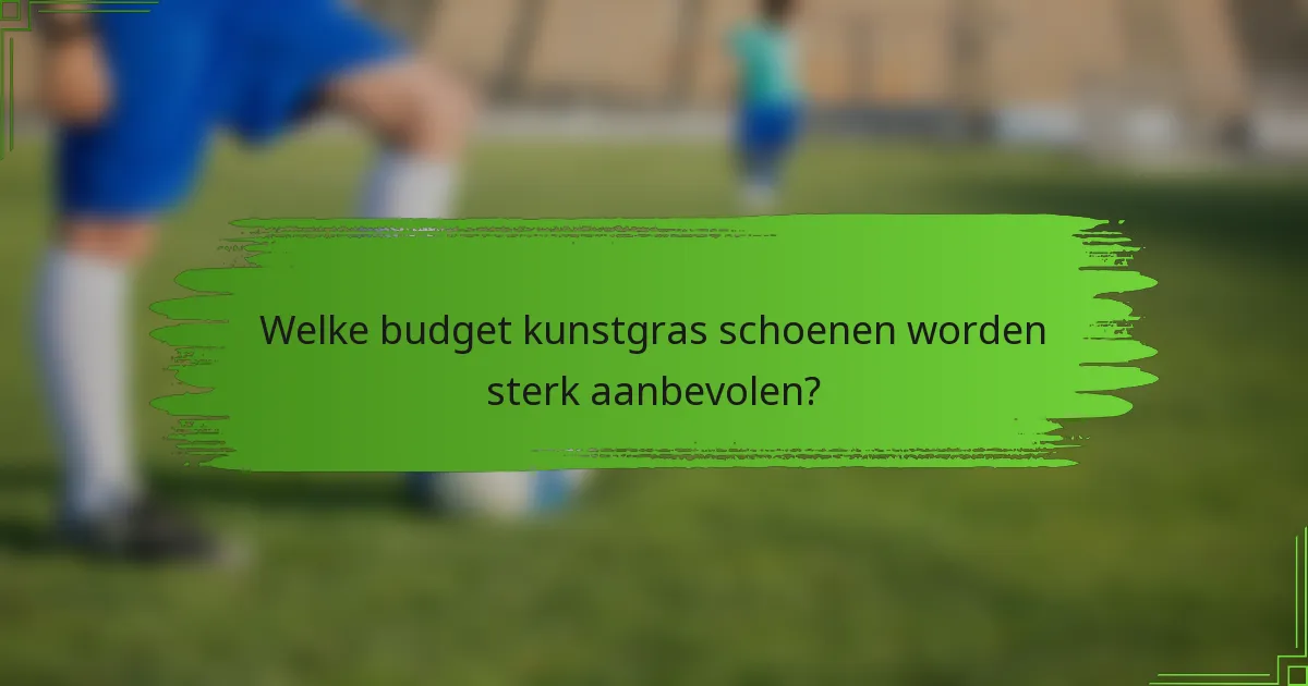 Welke budget kunstgras schoenen worden sterk aanbevolen?